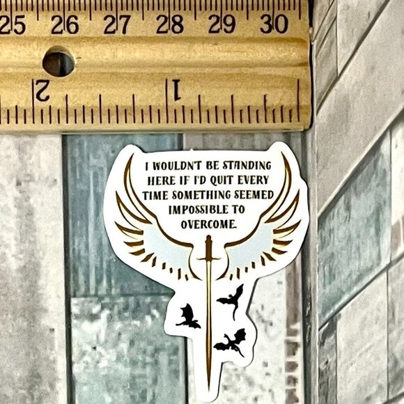 🌀10/$10🌀 Fantasy Wing Reusable Waterproof Sticker Decal - Picture 2 of 2